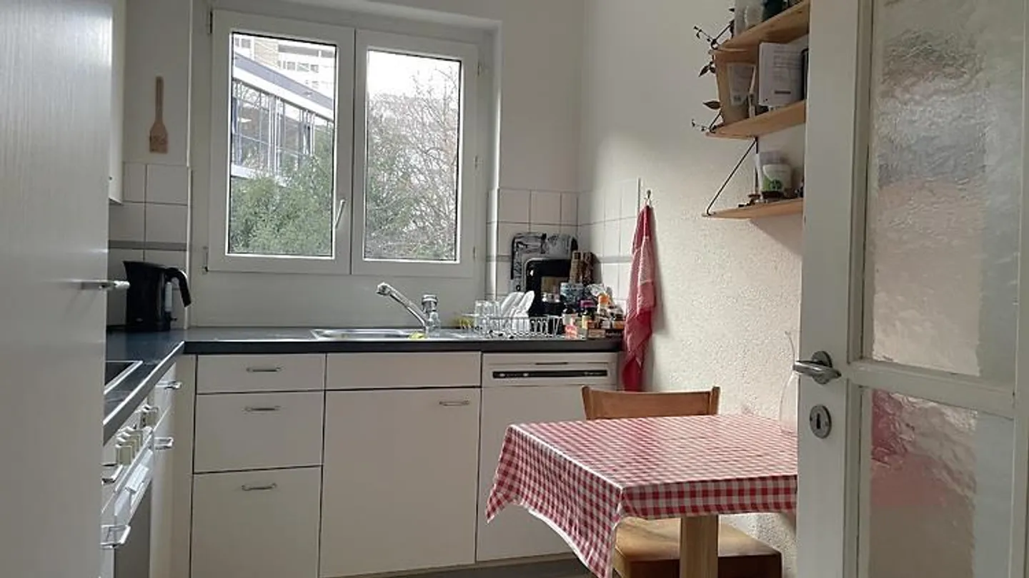 2 ROOM APARTMENT IN ZURICH - DISTRICT 4, FURNISHED, TEMPORARY - Photo 3 of 6