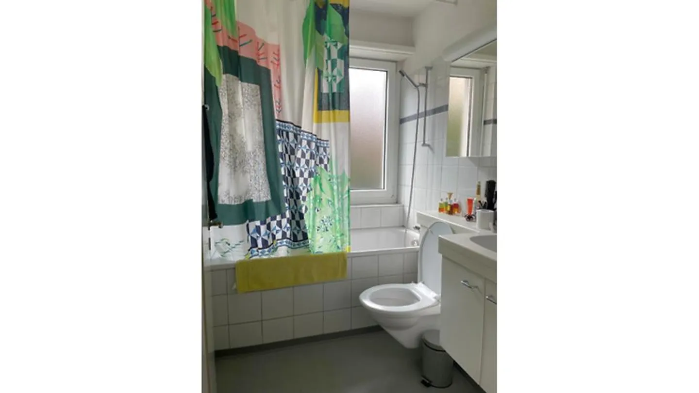 2 ROOM APARTMENT IN ZURICH - DISTRICT 4, FURNISHED, TEMPORARY - Photo 6 of 6