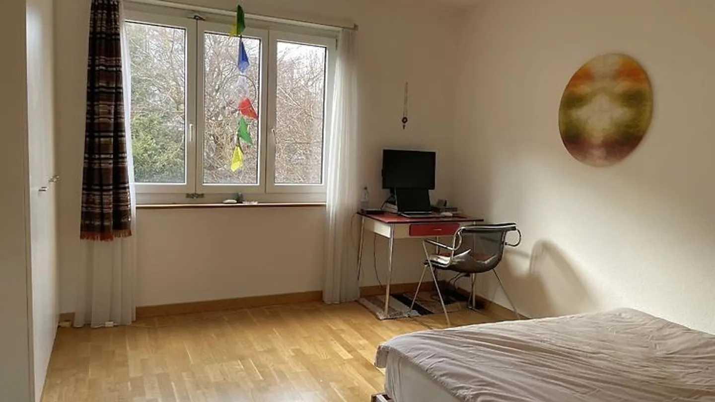 2 ROOM APARTMENT IN ZURICH - DISTRICT 4, FURNISHED, TEMPORARY - Photo 4 of 6