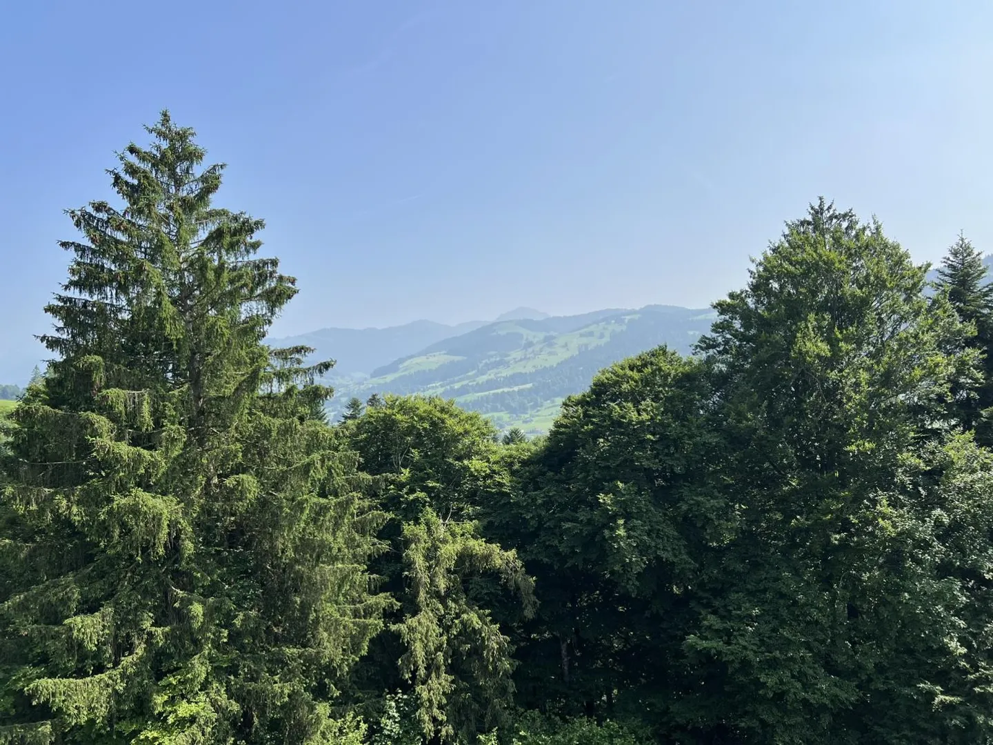 Vivere moderno - Nel cuore della natura - Foto 5 di 9