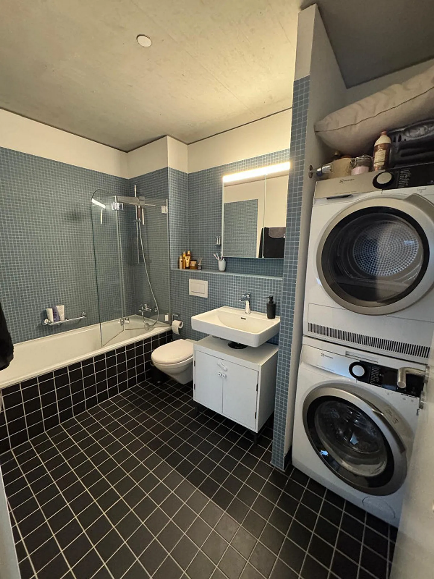 APPARTAMENTO ARREDATO 3.5 STANZE CON BALCONE & VISTA (13° PIANO) – TEMPORANEO - Foto 8 di 9