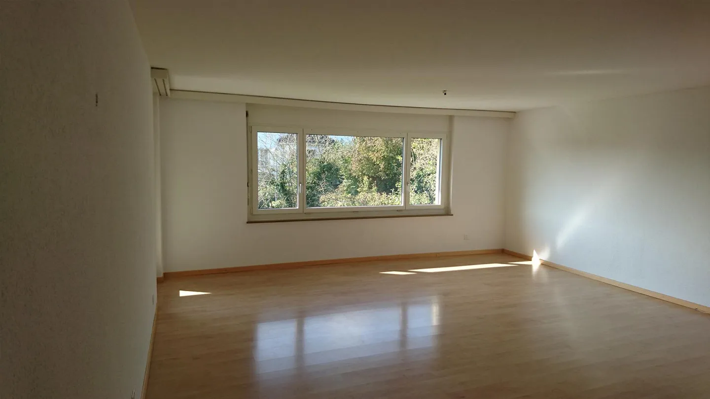 Appartement 4,5 pièces dans un emplacement calme - Photo 3 sur 12
