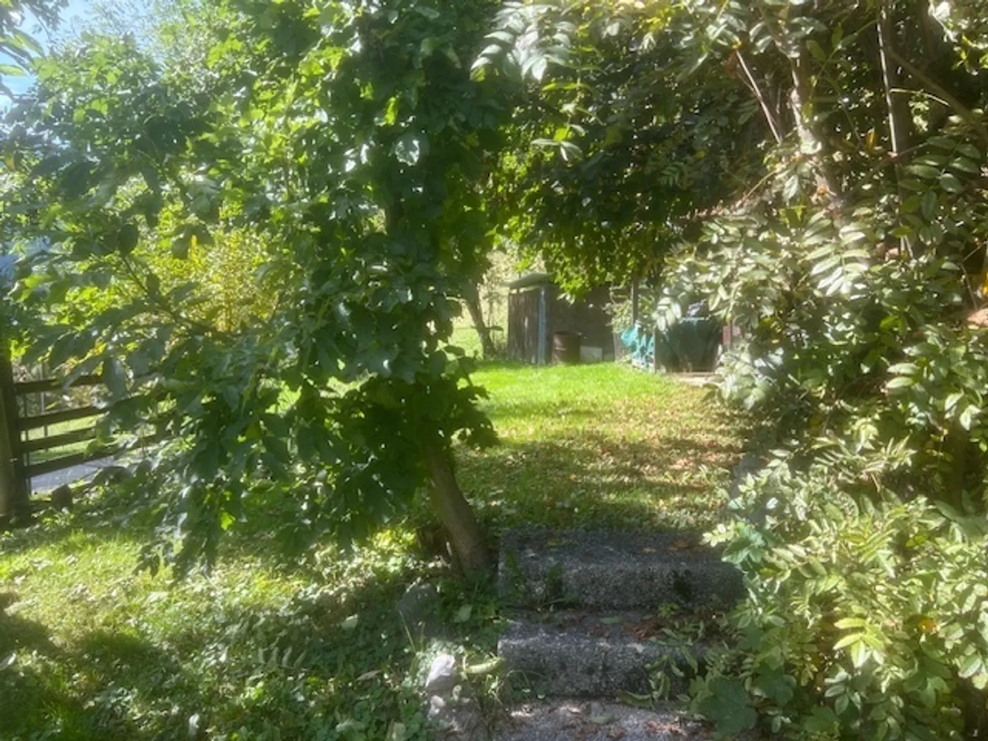Chalet 3,5 stanze - Foto 6 di 15