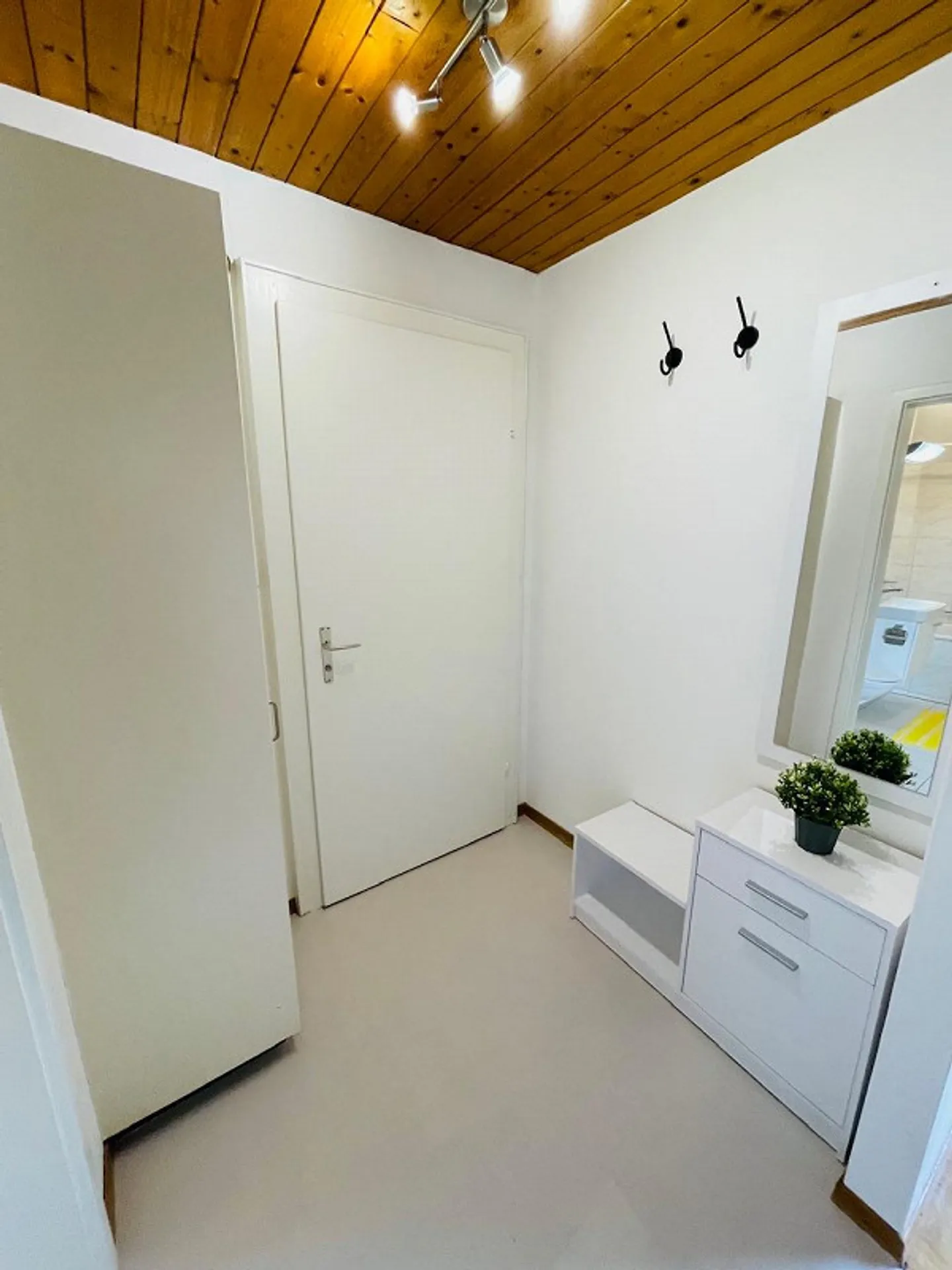 Bright 1.5 room apartment with washing machine - Photo 3 of 14