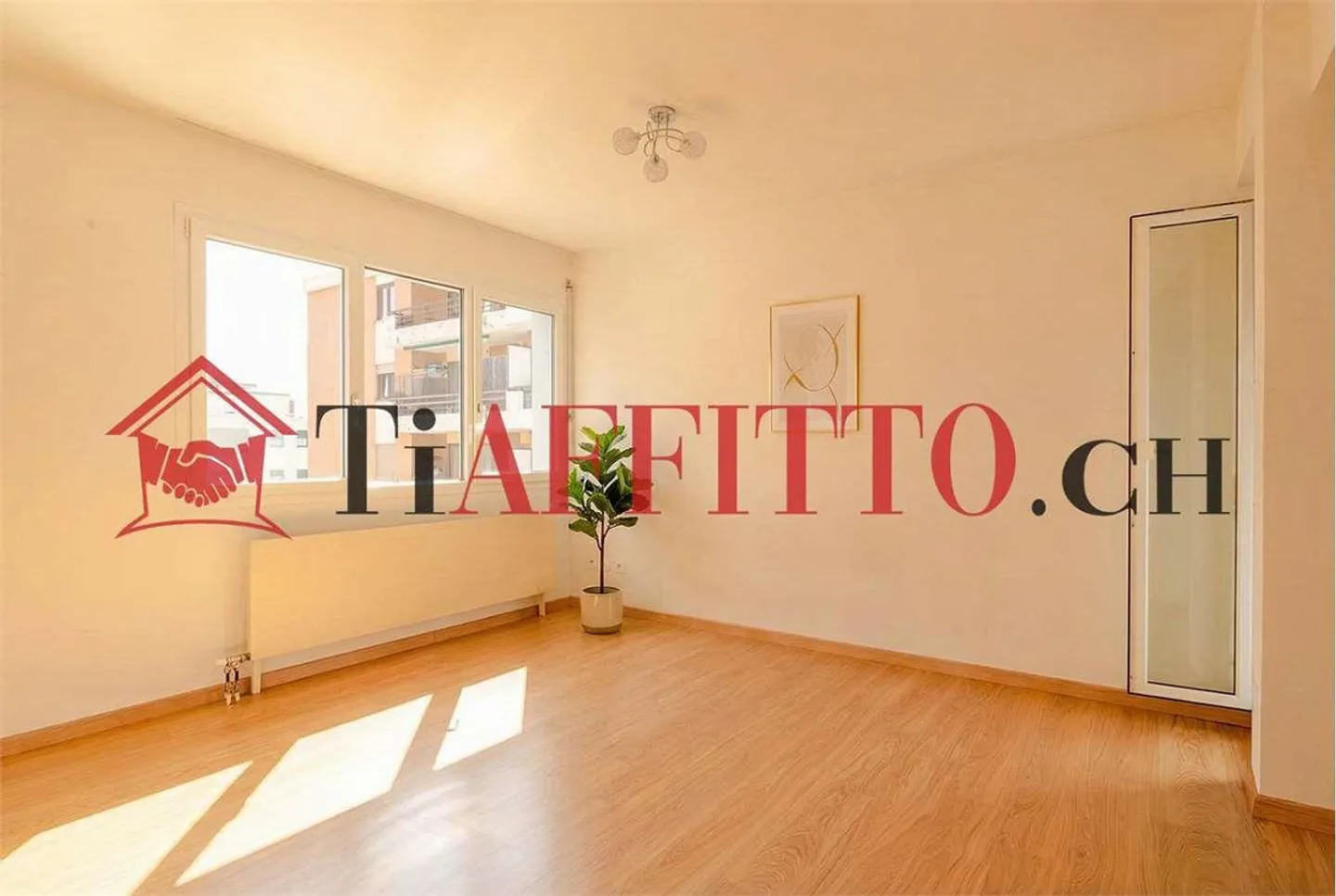 STUDIO FONCTIONNEL À VIGANELLO - PRÈS DE L'UNIVERSITÉ - Photo 2 sur 6