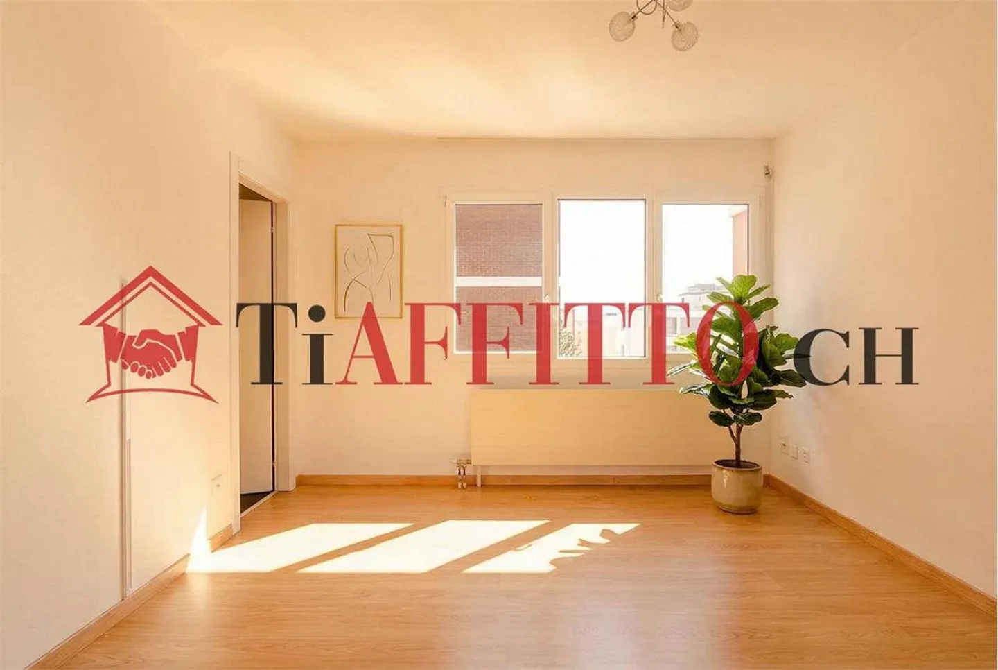 STUDIO FONCTIONNEL À VIGANELLO - PRÈS DE L'UNIVERSITÉ - Photo 3 sur 6