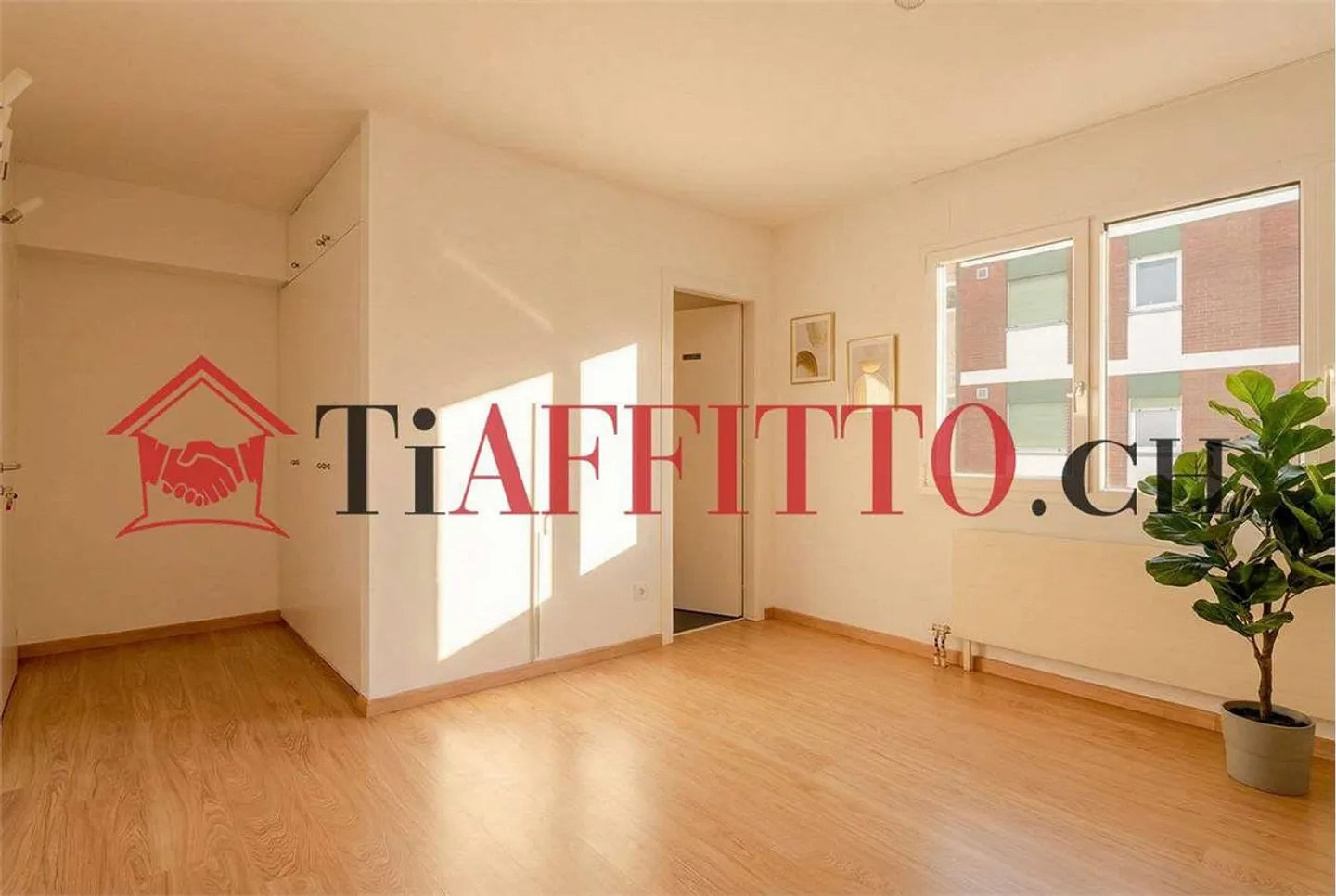 STUDIO FONCTIONNEL À VIGANELLO - PRÈS DE L'UNIVERSITÉ - Photo 6 sur 6