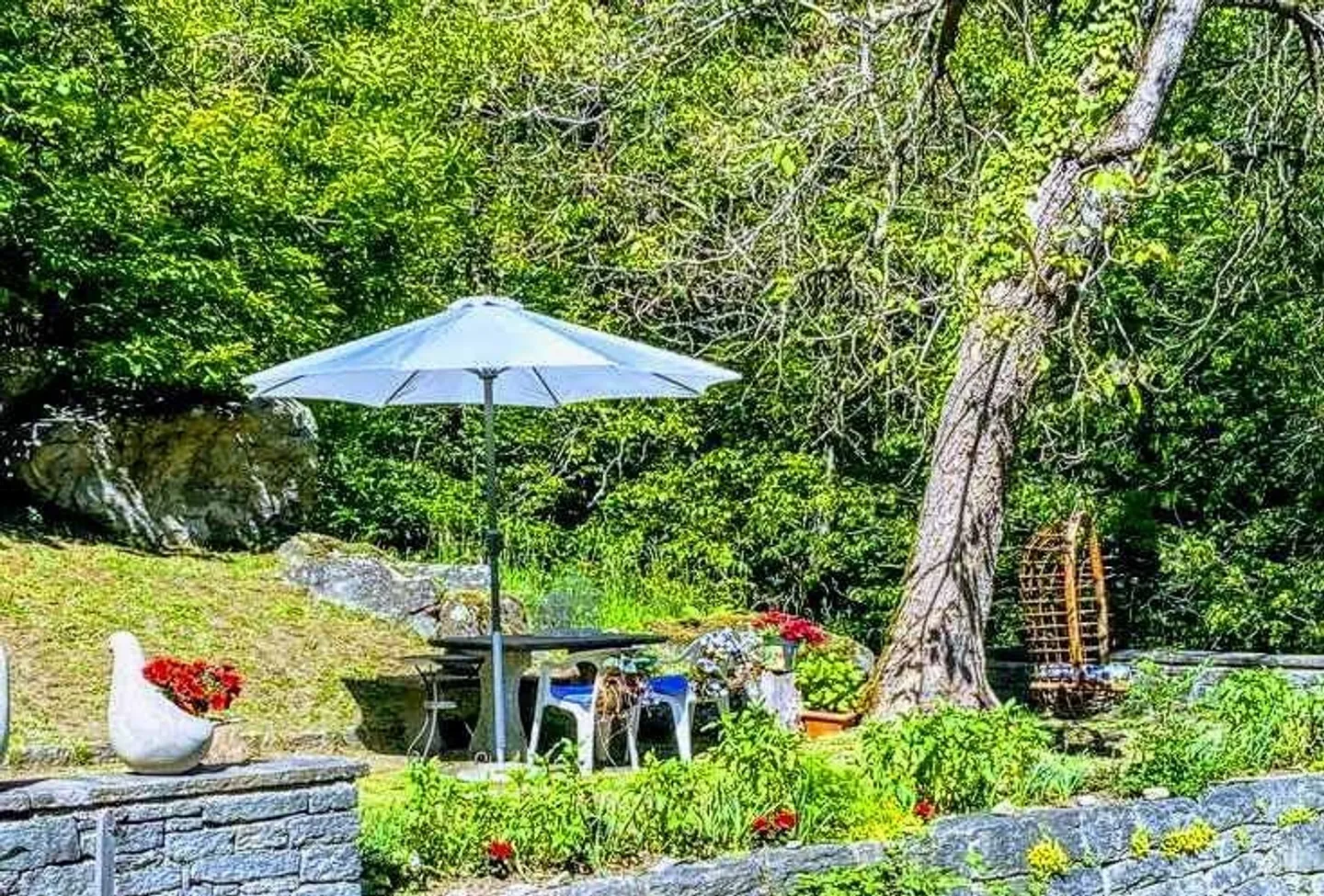 Casa bifamiliare con grande terrene edificabile in posizione isolata - Foto 3 di 19