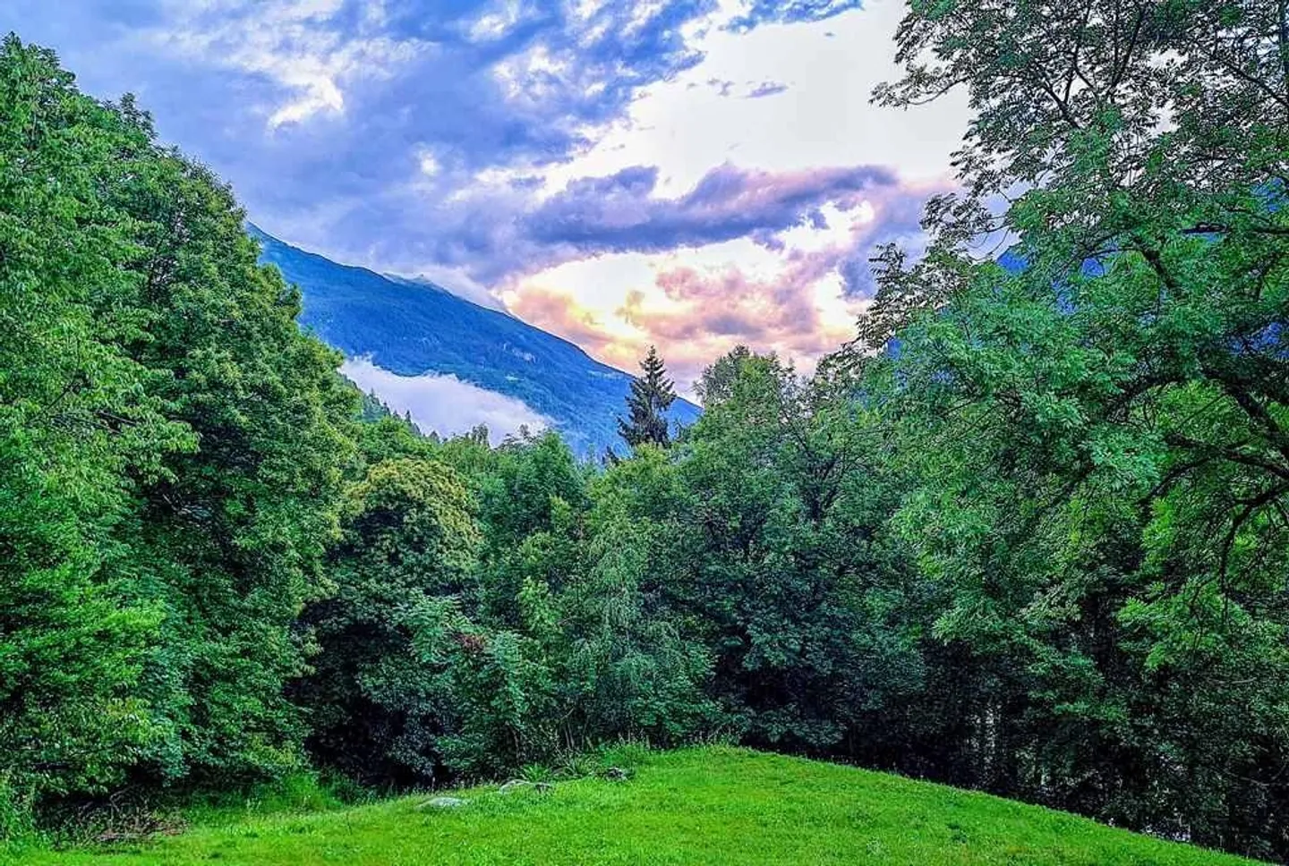 Casa bifamiliare con grande terrene edificabile in posizione isolata - Foto 7 di 19