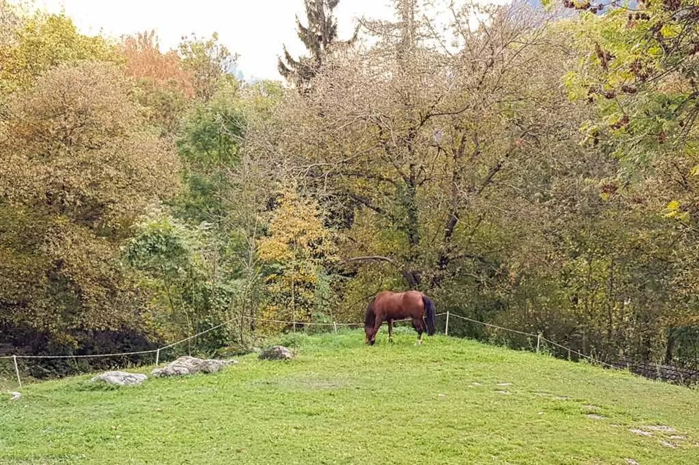 Casa bifamiliare con grande terrene edificabile in posizione isolata - Foto 8 di 19
