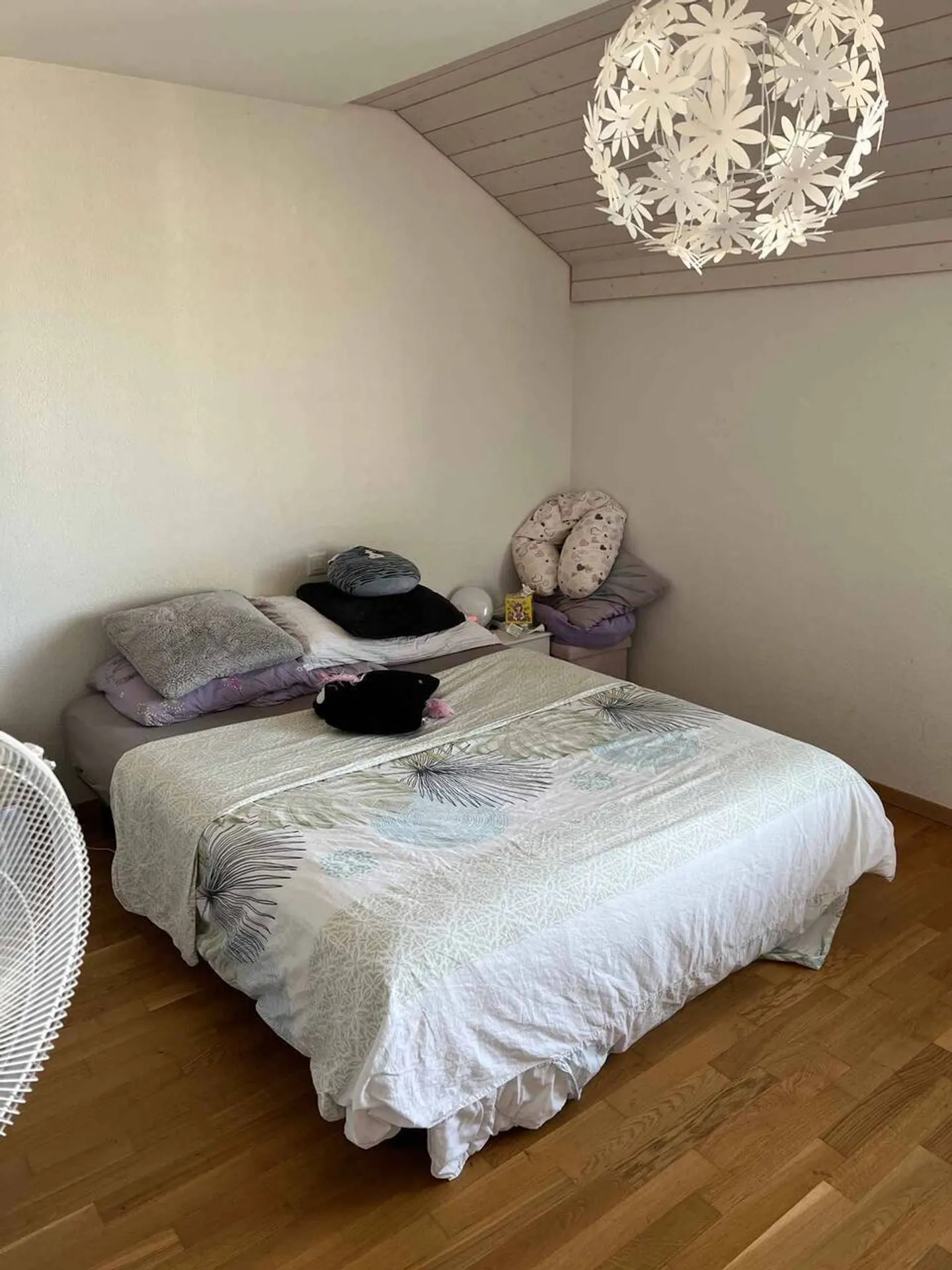 Magnificent duplex in the attic with large balcony, just steps from the city center, sold rented - Photo 4 of 11