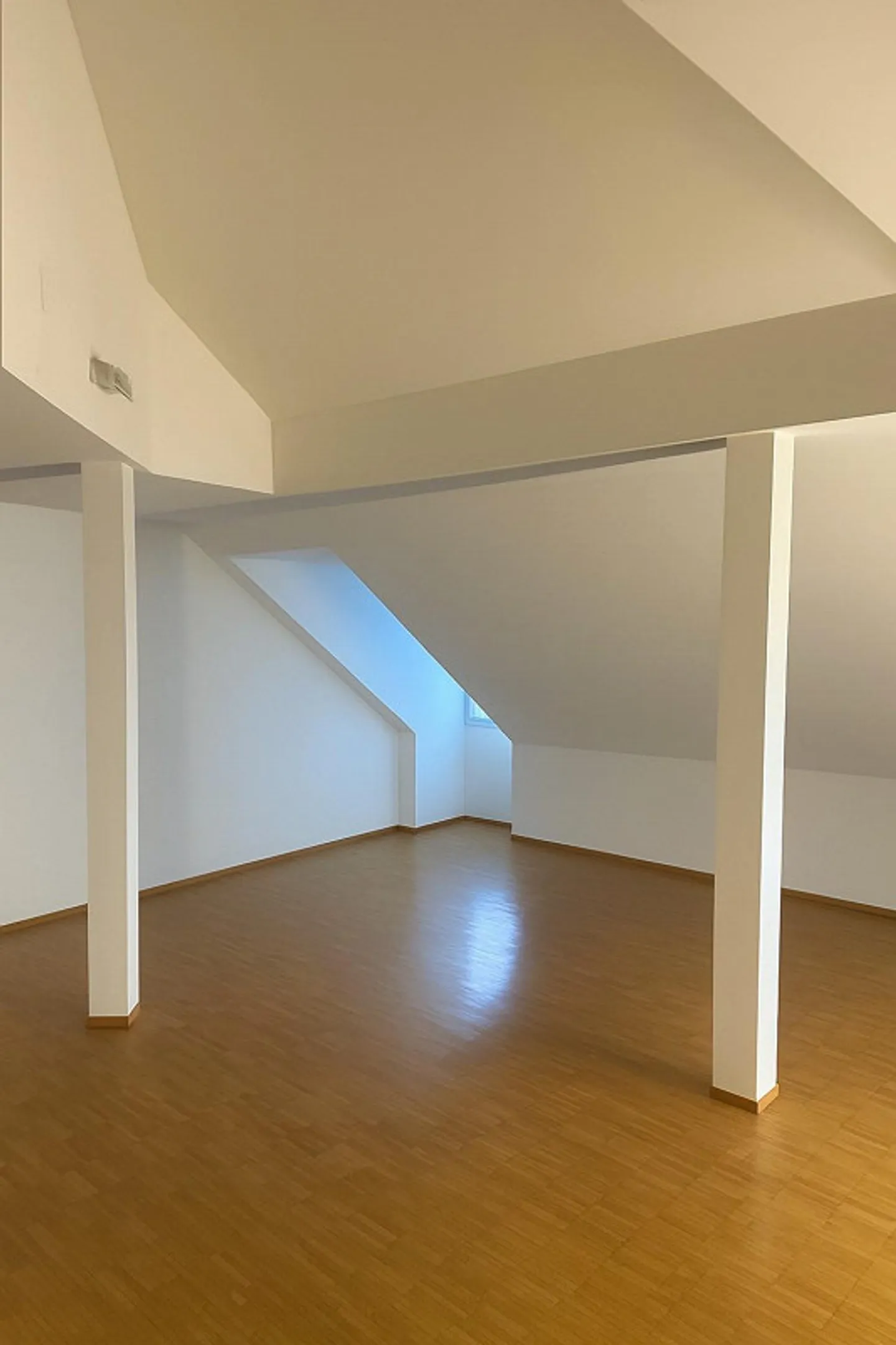 Sentimento di città assoluto sopra i tetti di San Gallo! - Foto 3 di 10