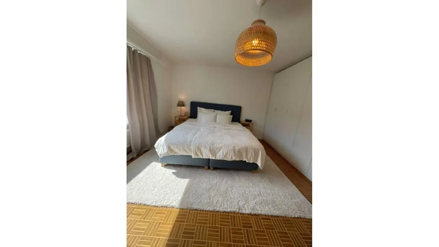 3 ROOM APARTMENT IN ZURICH - DISTRICT 4 LANGSTRASSE, FURNISHED, TEMPORARY - Photo 4 of 10