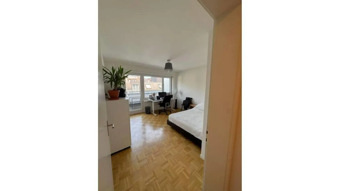 3 ROOM APARTMENT IN ZURICH - DISTRICT 4 LANGSTRASSE, FURNISHED, TEMPORARY - Photo 5 of 10
