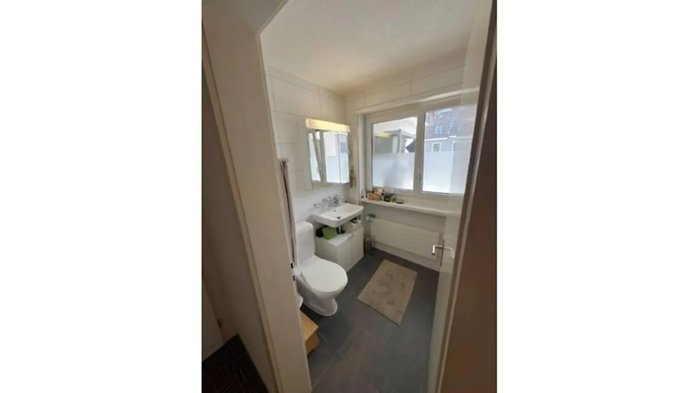 3 ROOM APARTMENT IN ZURICH - DISTRICT 4 LANGSTRASSE, FURNISHED, TEMPORARY - Photo 7 of 10