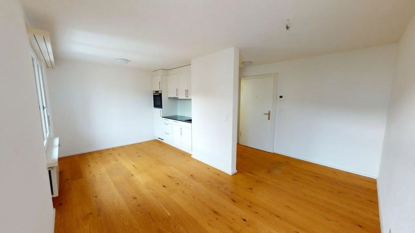 Modern Apartment in St. Gallen - Photo 3 of 7