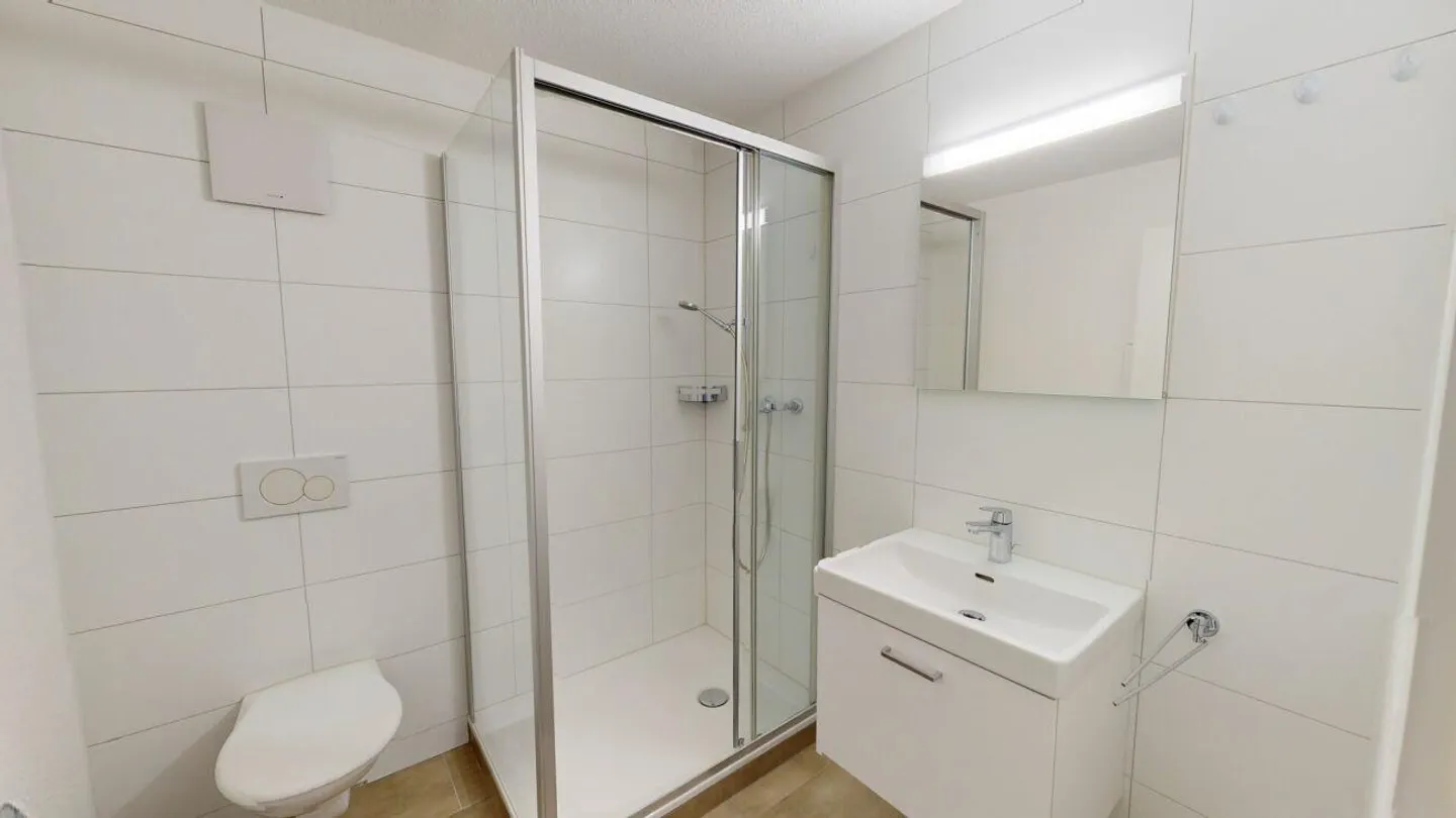 Modern Apartment in St. Gallen - Photo 5 of 7