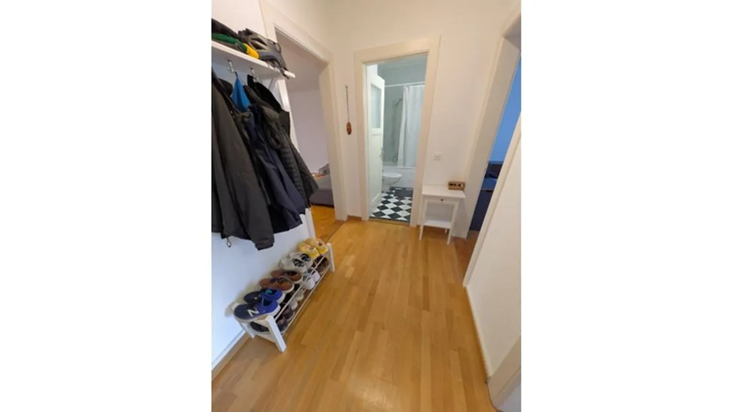 APPARTAMENTO 2 STANZE A BERN - WEISSENBÜHL, ARREDATO, TEMPORANEO - Foto 5 di 8