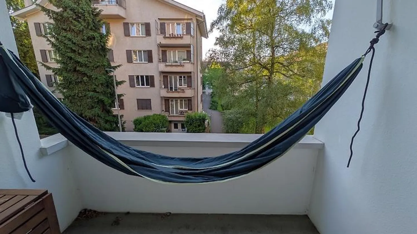 APPARTAMENTO 2 STANZE A BERN - WEISSENBÜHL, ARREDATO, TEMPORANEO - Foto 7 di 8