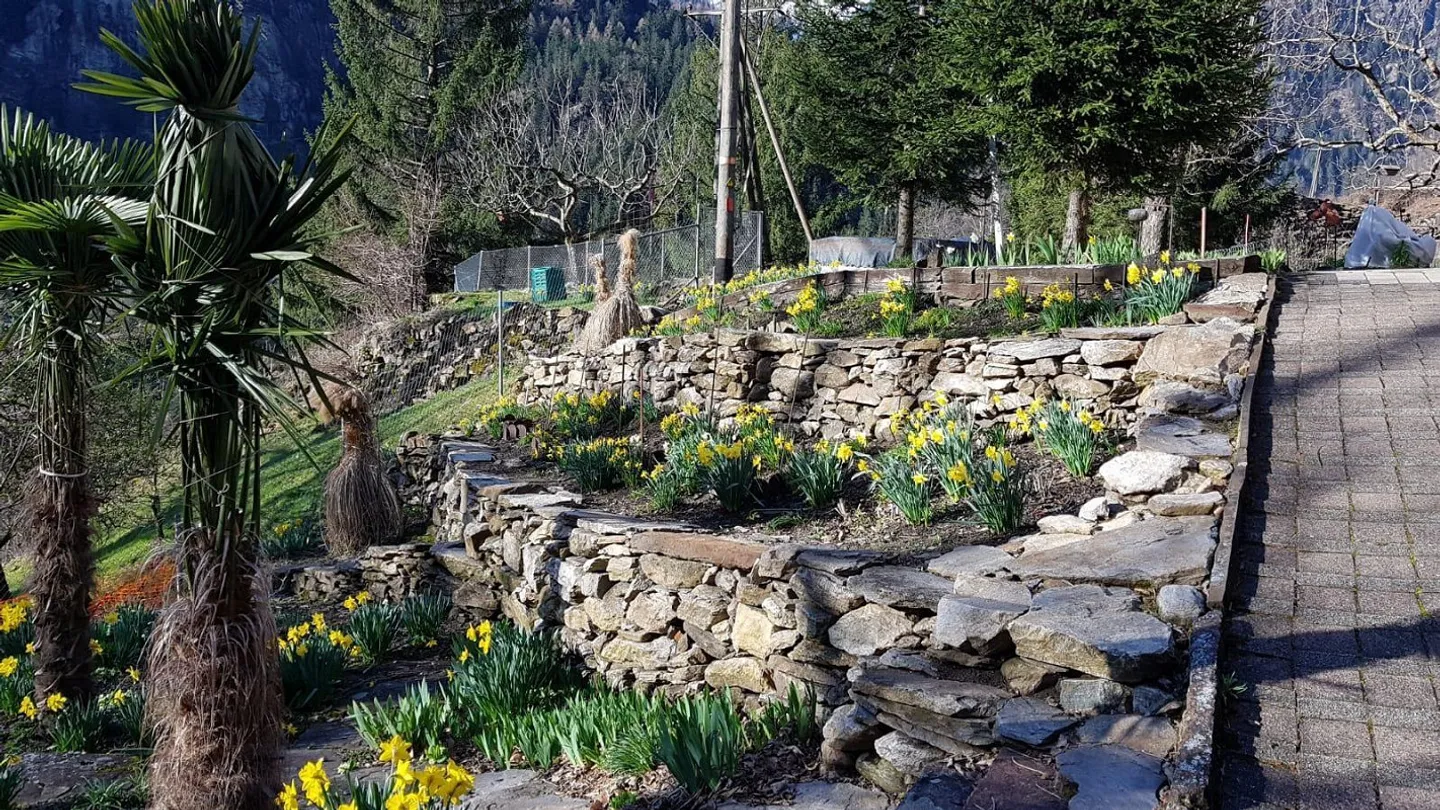 Maison 5 1/2 pièces en emplacement isolé avec beau jardin - Photo 28 sur 38