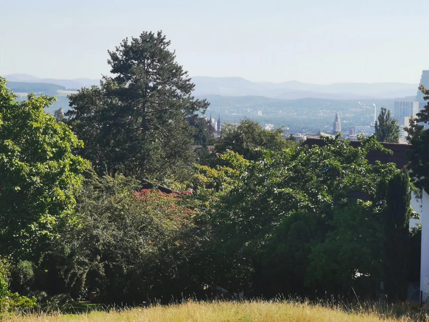 Maison moderne avec vue sur Bâle - Photo 2 sur 10