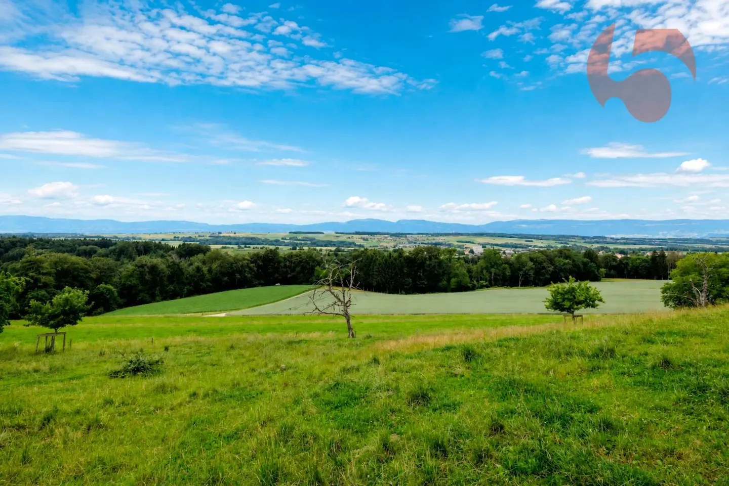 Magnificent 4.5-Room Villa with Panoramic View of the Jura and Surrounding Landscape - Photo 3 of 13