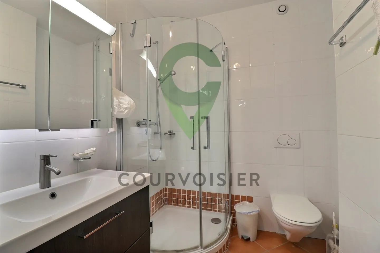 Spacious apartment in Nyon - Photo 9 of 11