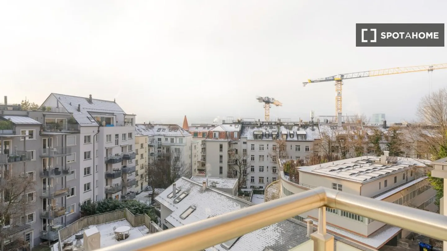 Appartamento Incantevole a Zurigo - Foto 4 di 18