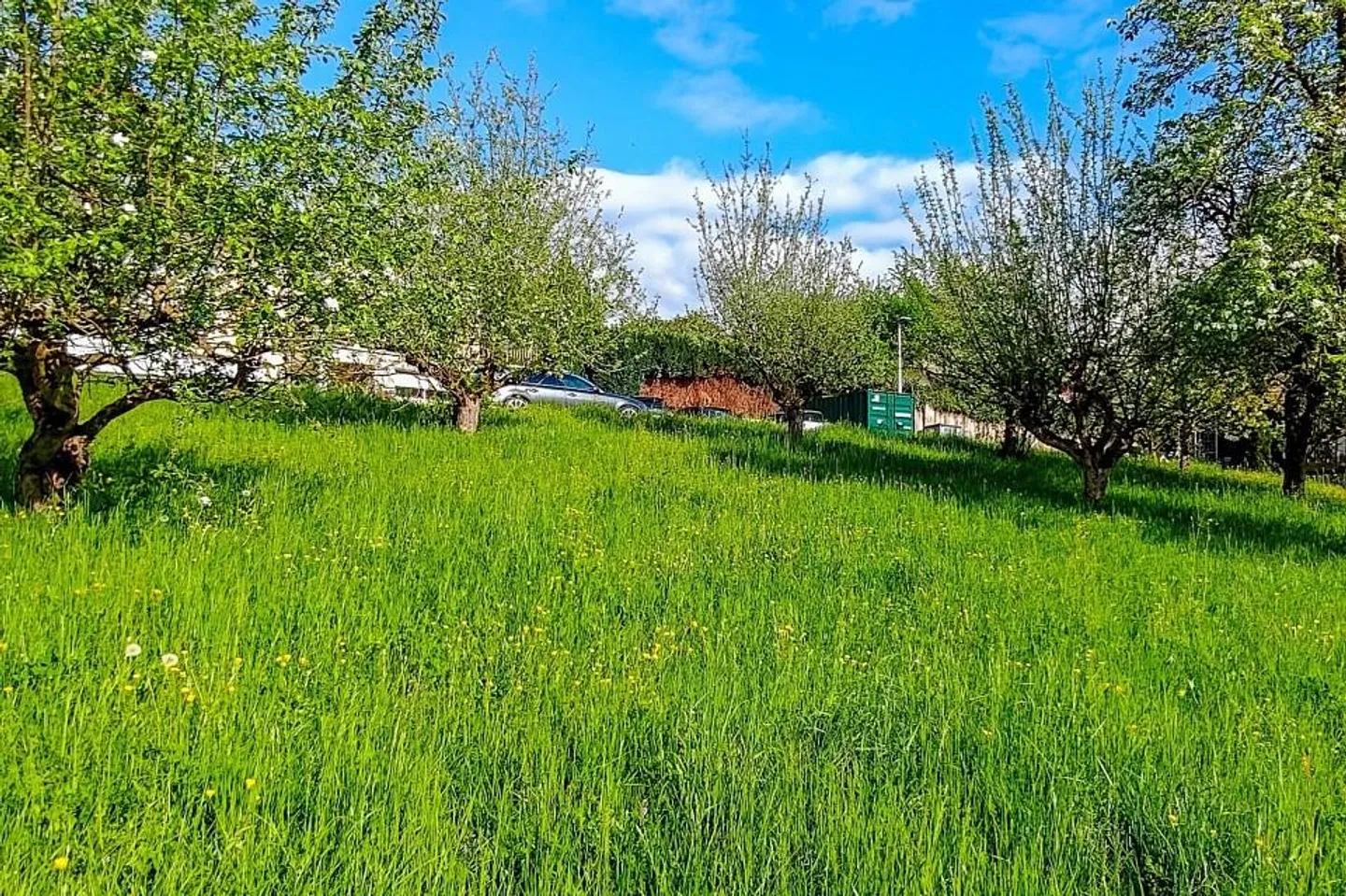 Attraktives Baugrundstück in Hottwil – sonnige Westhanglage mit att... - Foto 5 di 11