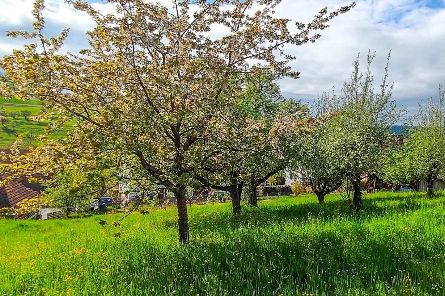 Attraktives Baugrundstück in Hottwil – sonnige Westhanglage mit att... - Foto 7 di 11