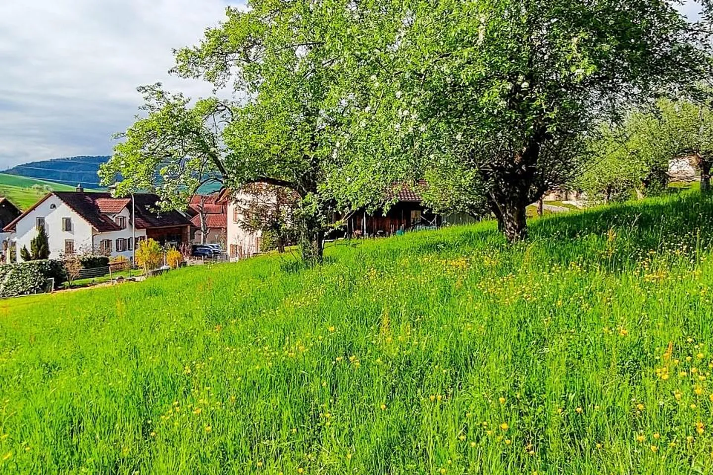 Attraktives Baugrundstück in Hottwil – sonnige Westhanglage mit att... - Foto 8 di 11