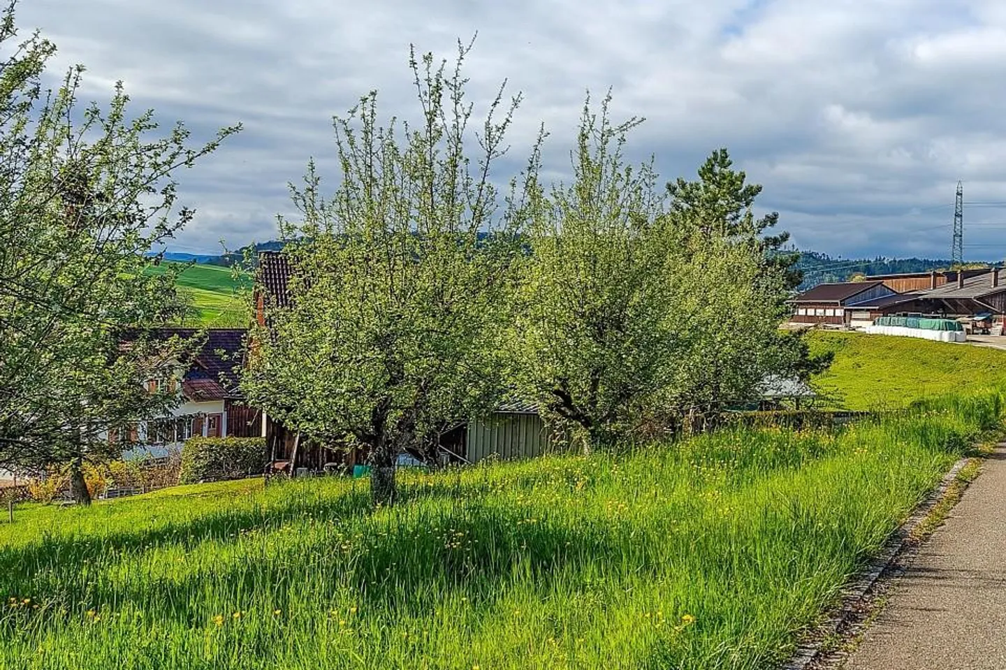 Attraktives Baugrundstück in Hottwil – sonnige Westhanglage mit att... - Foto 10 di 11