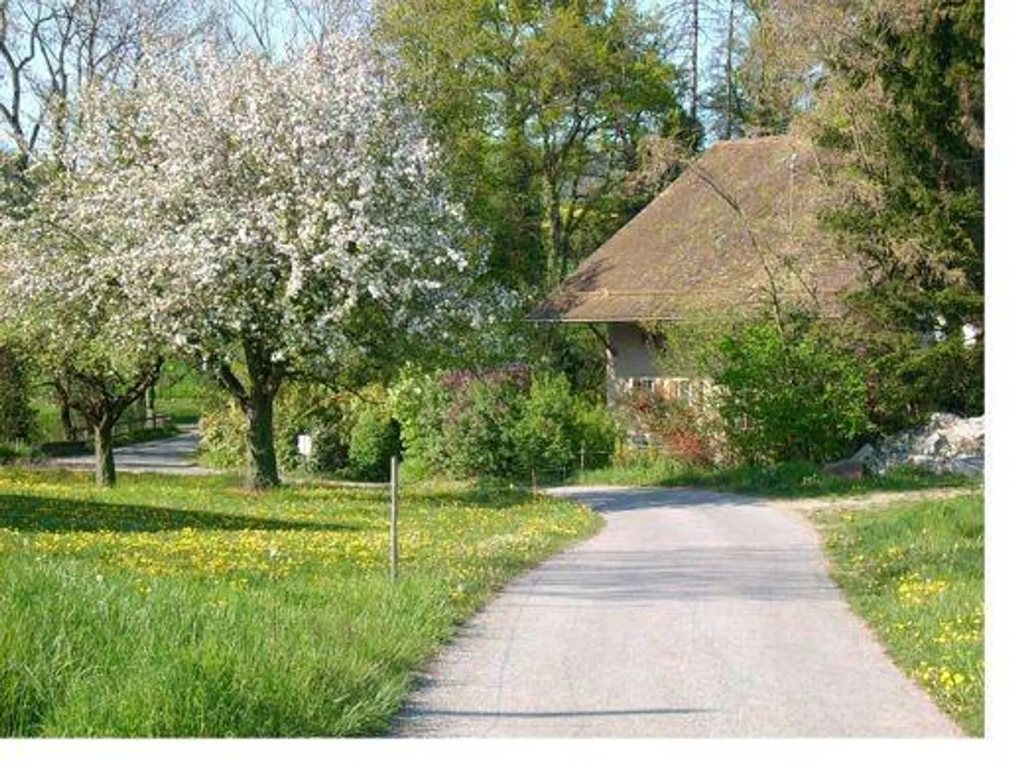Sehr großes Haus in besetzter Leibrente ohne Miete - Foto 3 von 13