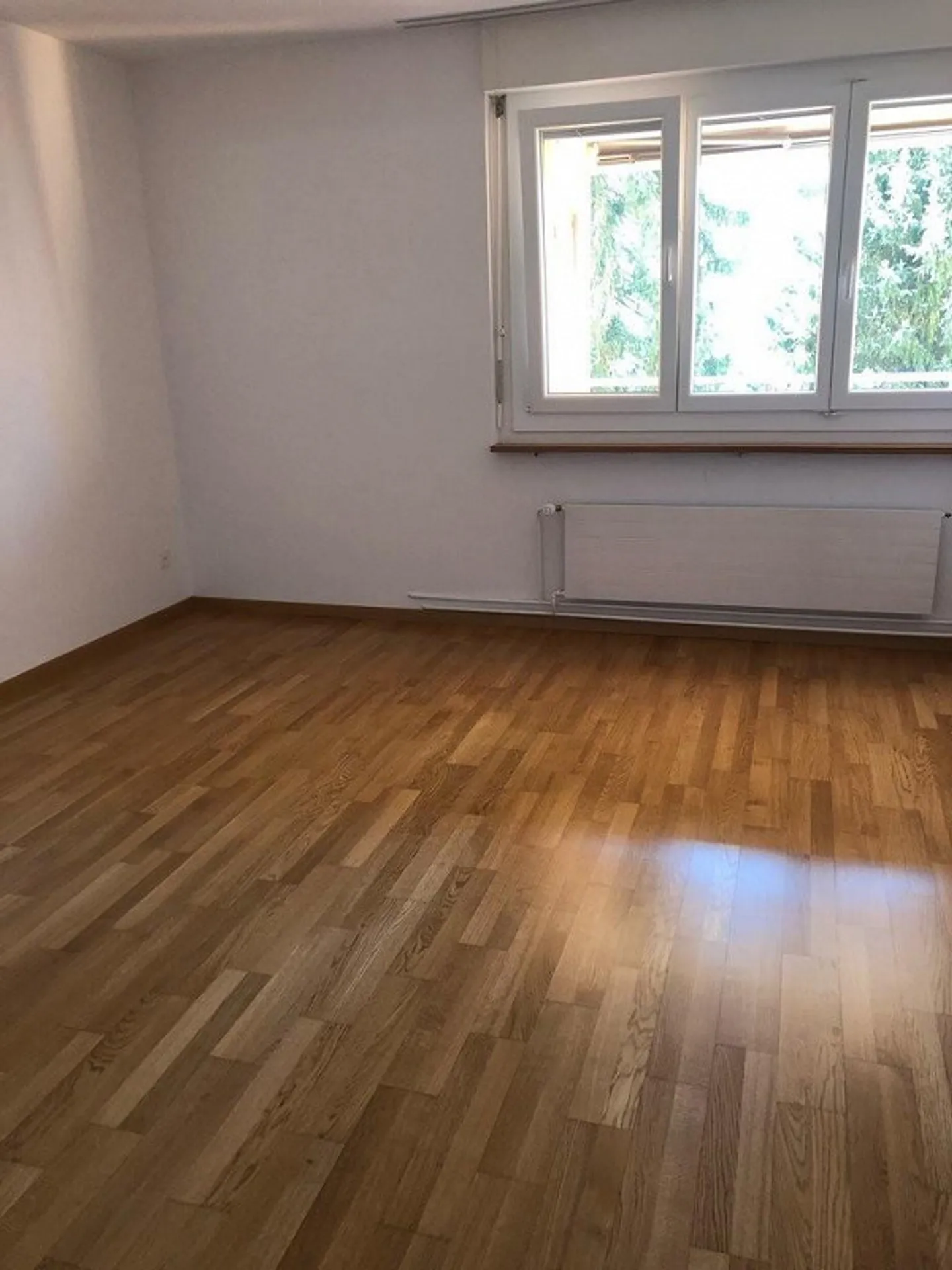 Helle Wohnung in ruhiger Lage - Foto 5 von 6