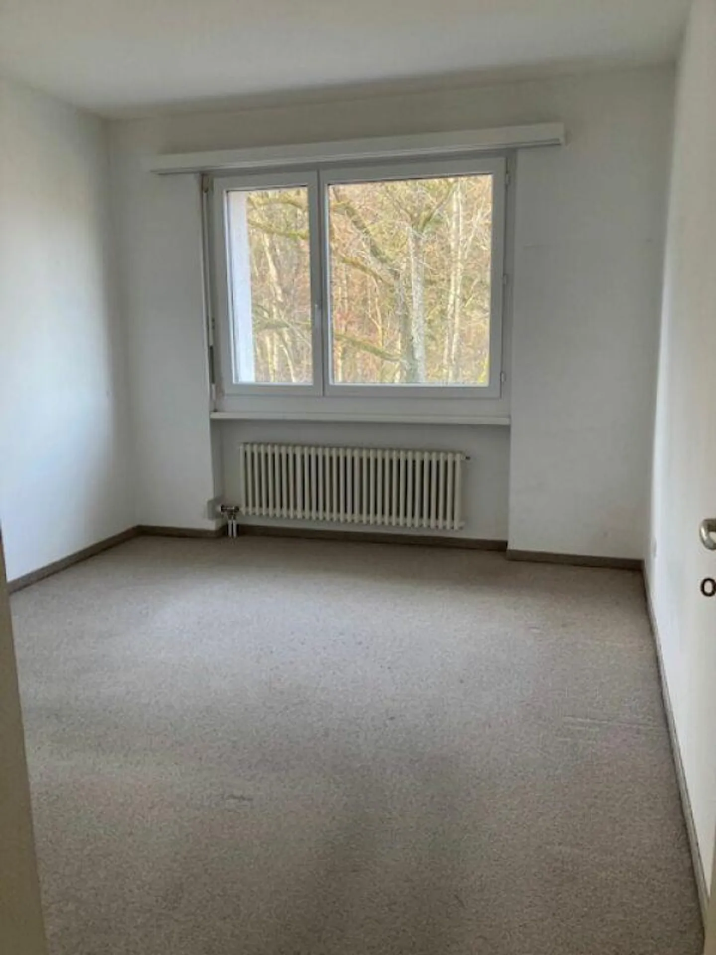 Appartamento soleggiato di 4,5 stanze con balcone - Foto 13 di 13