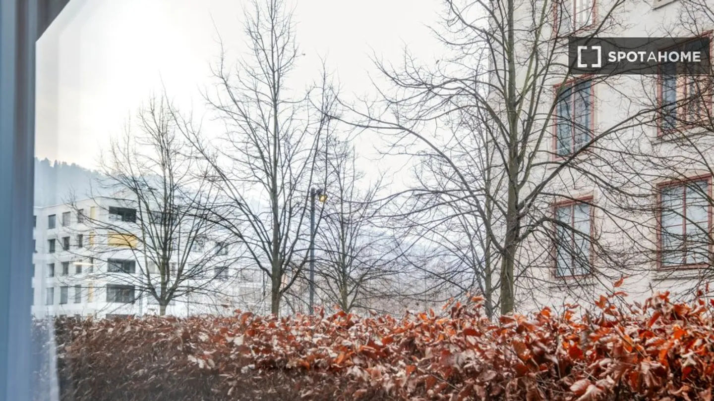 Charmant Appartement à Zurich - Photo 6 sur 18