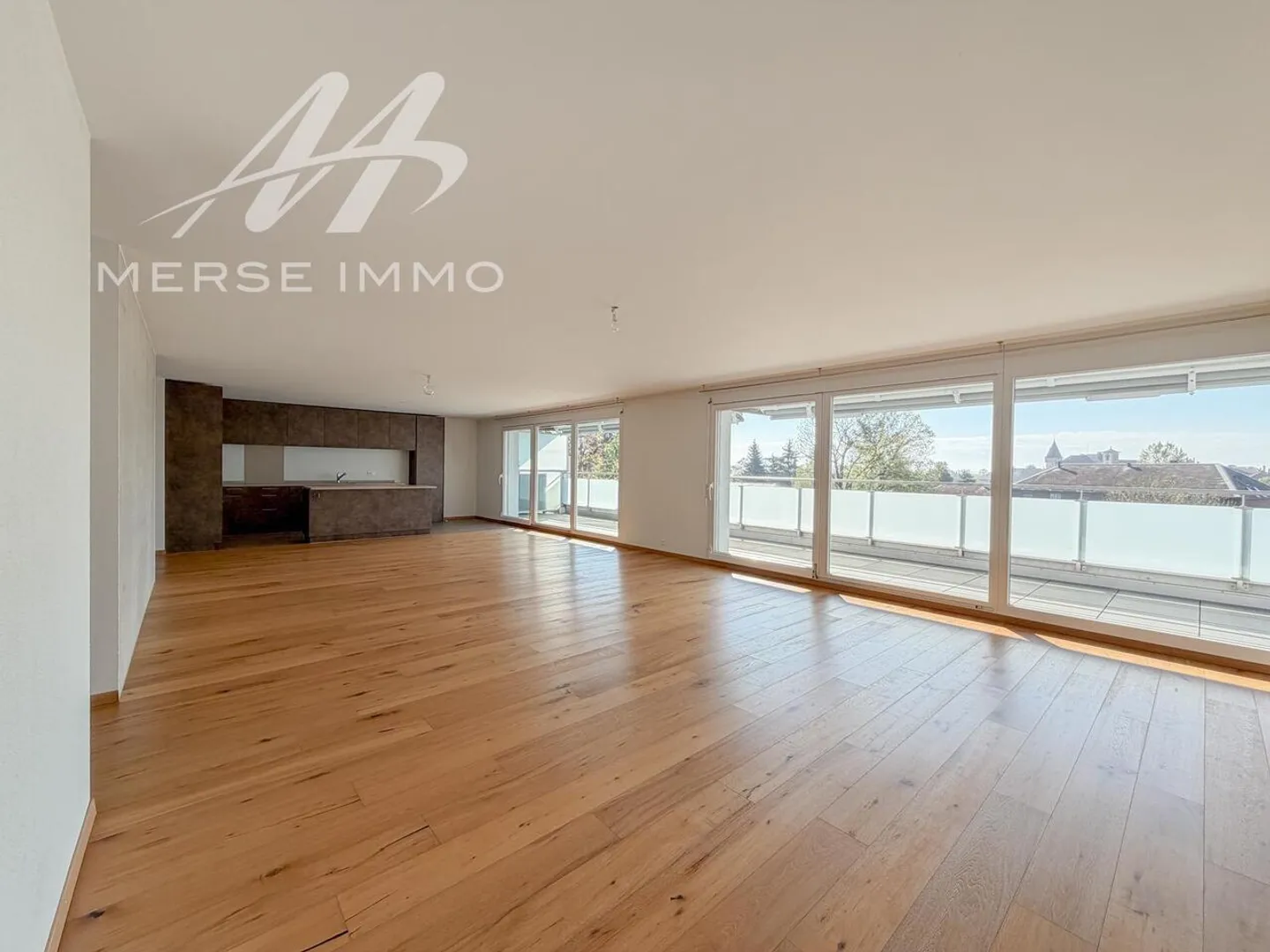 Bright penthouse with large terrace and unobstructed view - Photo 4 of 15