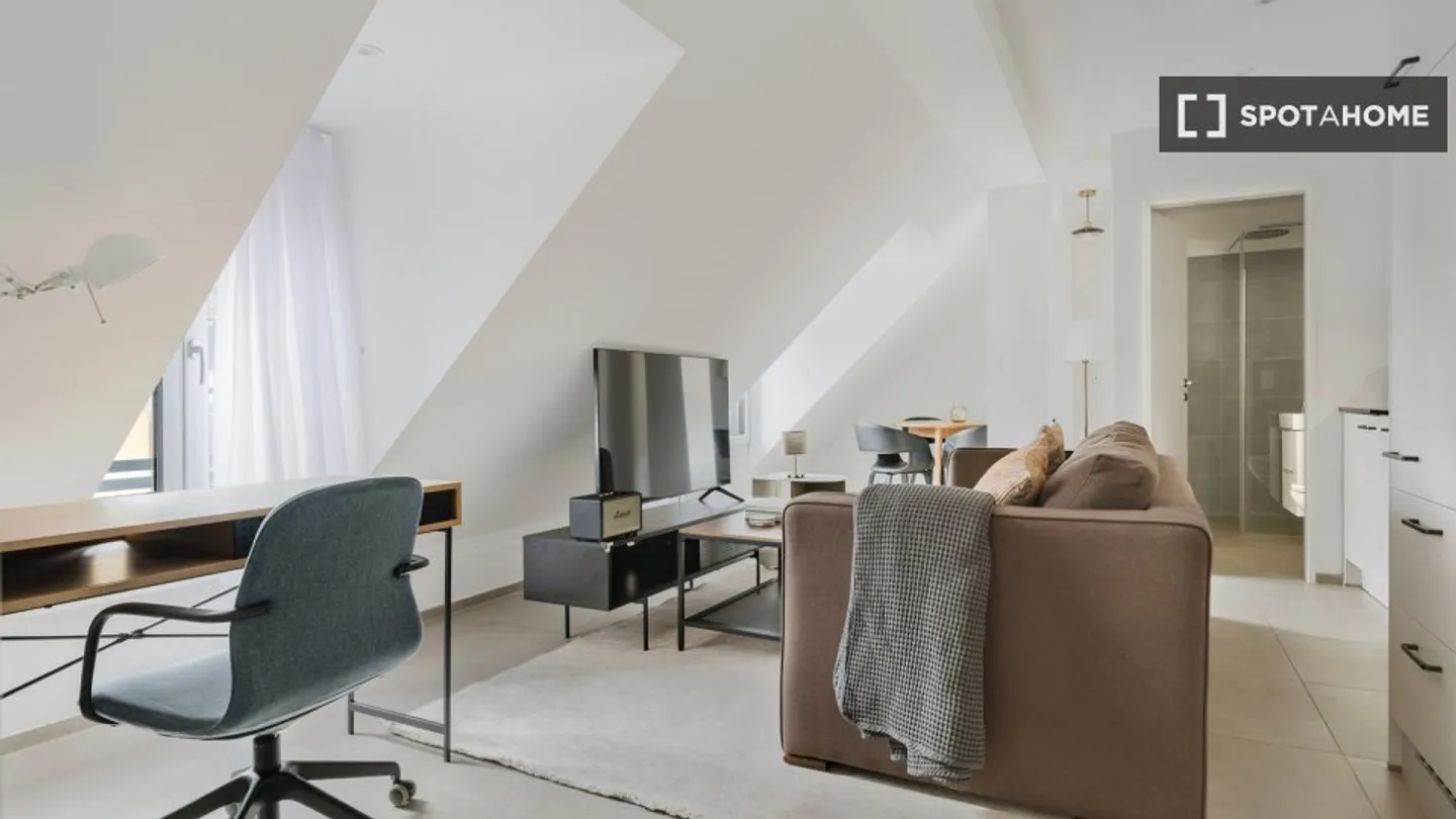 Charming Apartment in Zurich - Photo 3 of 15