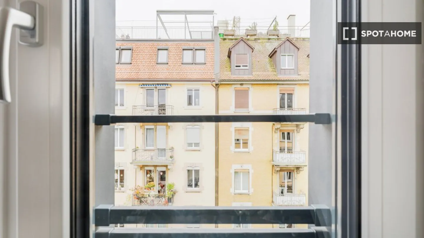 Charming Apartment in Zurich - Photo 5 of 15