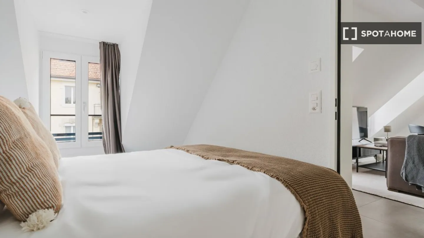 Charming Apartment in Zurich - Photo 11 of 15