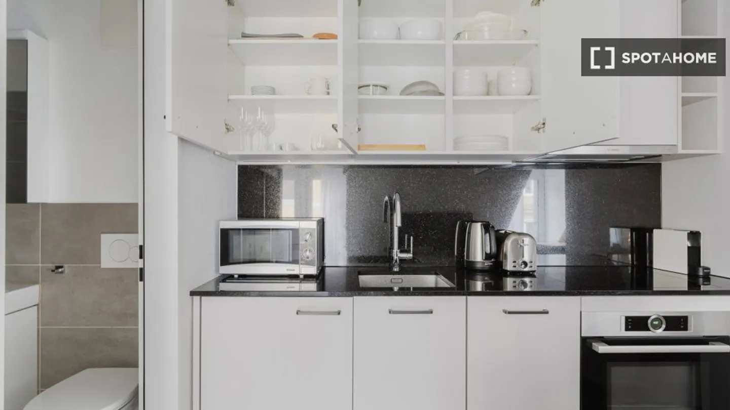 Charming Apartment in Zurich - Photo 8 of 15