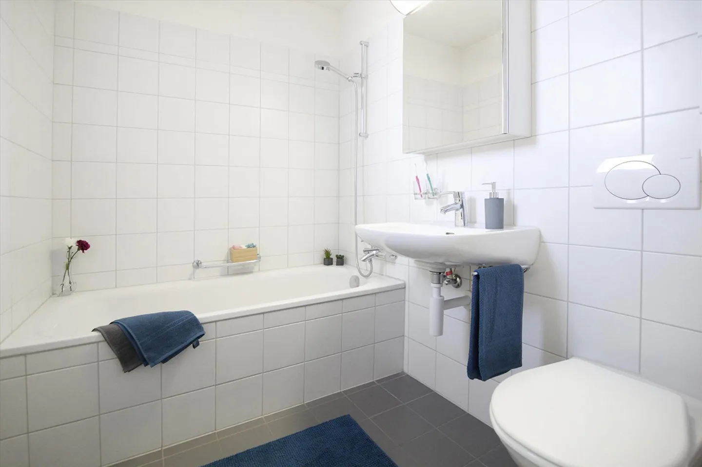 Infrastruttura moderna in un ambiente idilliaco - Foto 4 di 8