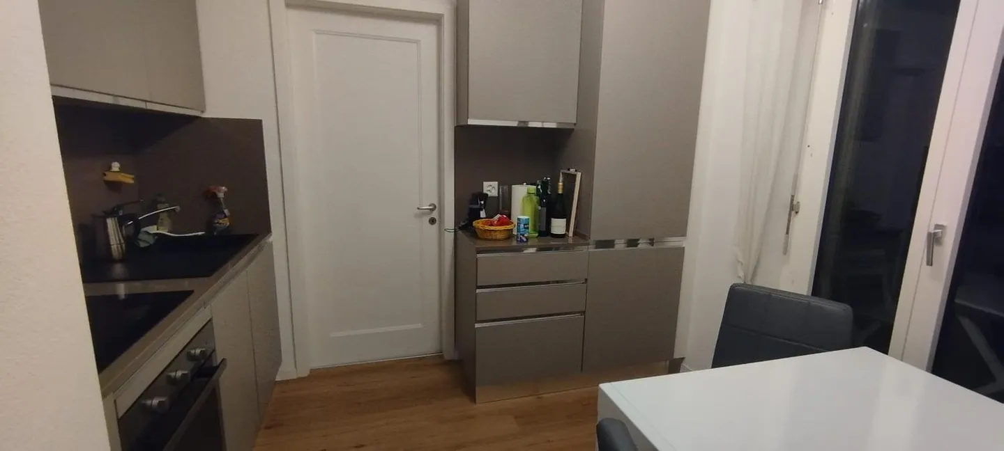 Incantevole appartamento di 2,5 stanze disponibile dal 1° aprile - Centro di Zug - Foto 7 di 7