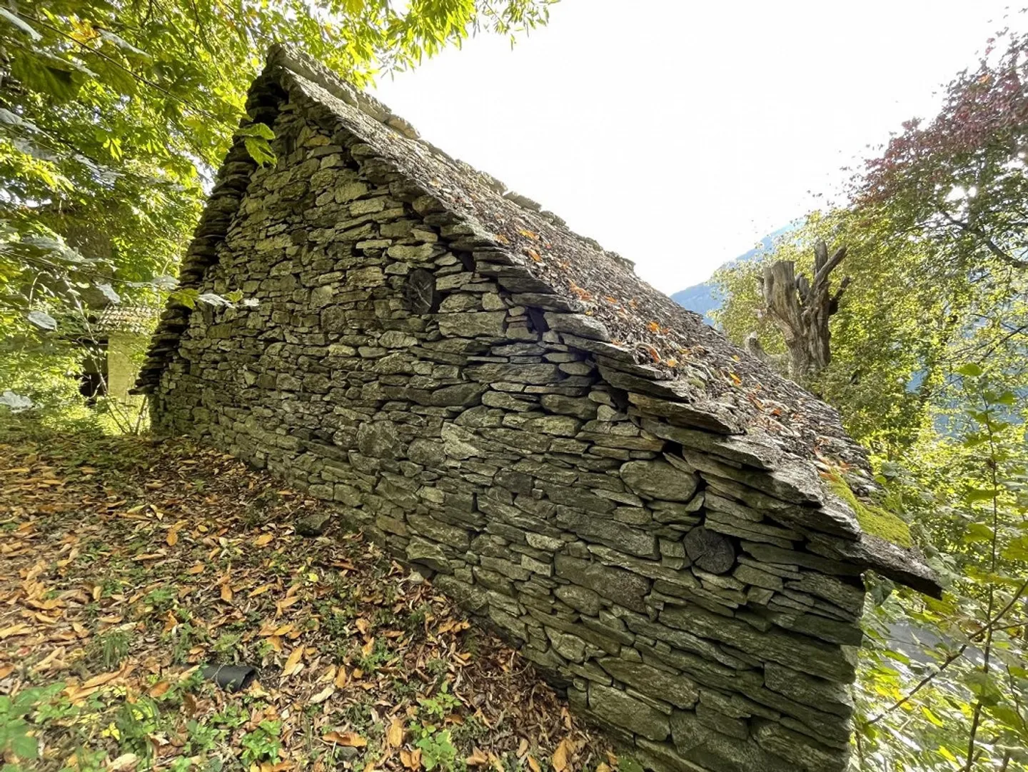 «Rustico di 2 locali da riattare con prato da sfalcio,  e bosco    /  Rustico zum Ausbauen mit  Wald und Wiese» - Foto 8 di 18