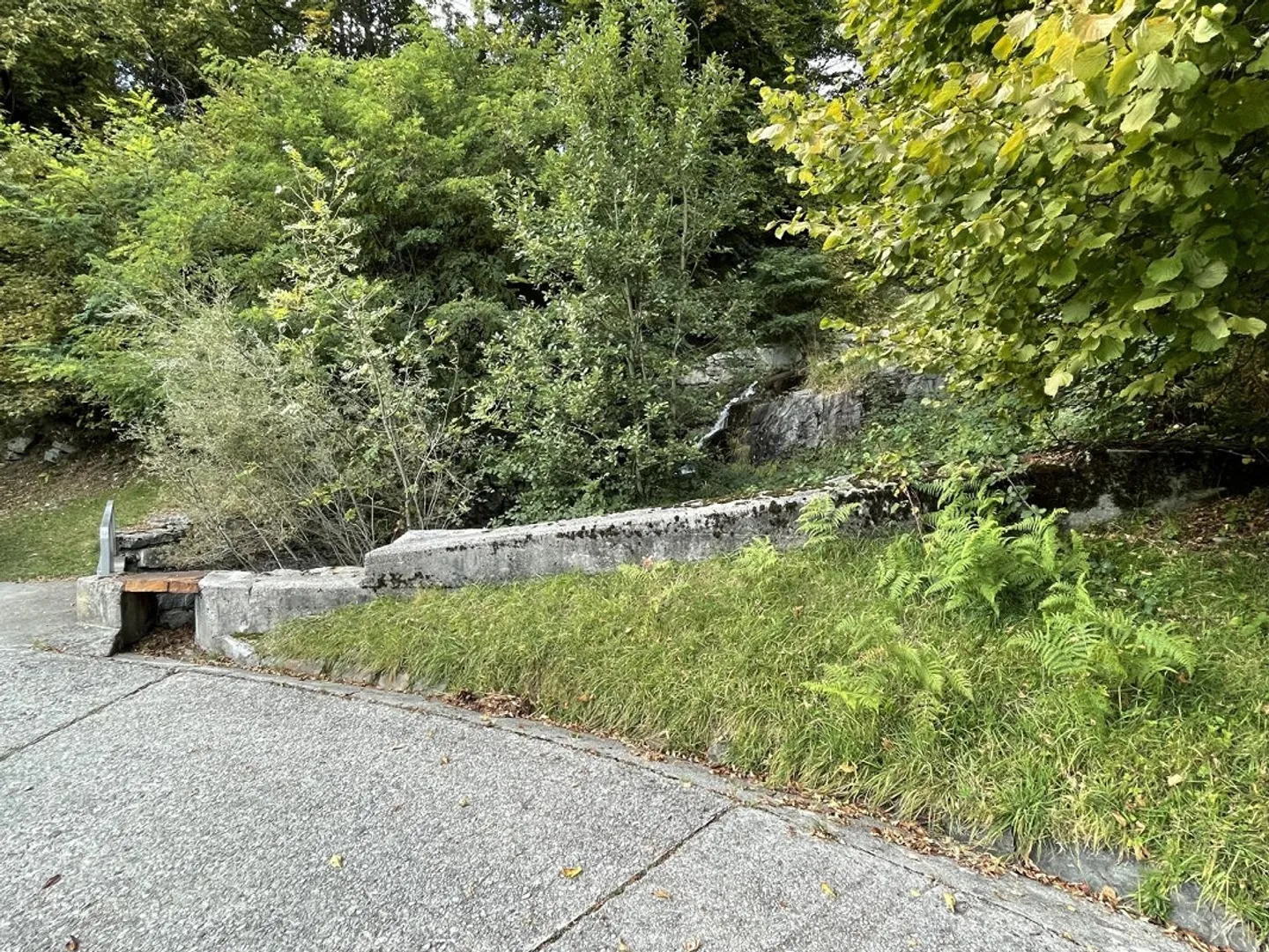 «Rustico di 2 locali da riattare con prato da sfalcio,  e bosco    /  Rustico zum Ausbauen mit  Wald und Wiese» - Foto 12 di 18