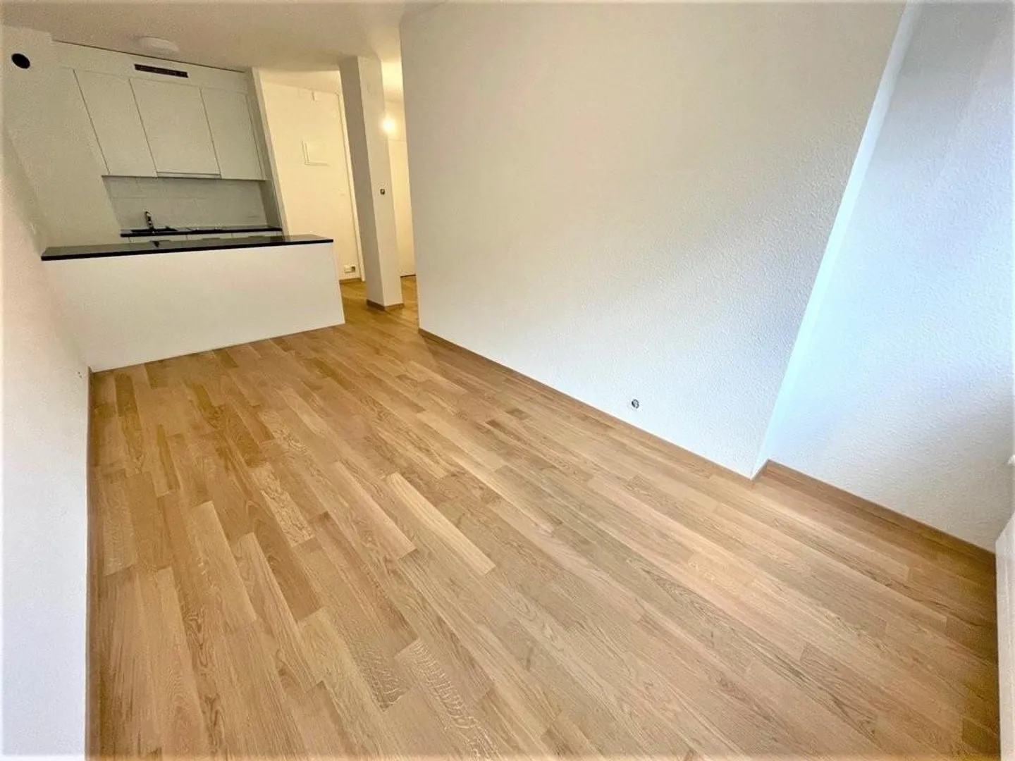 Appartement Charmant aux Eaux-Vives - Photo 4 sur 7