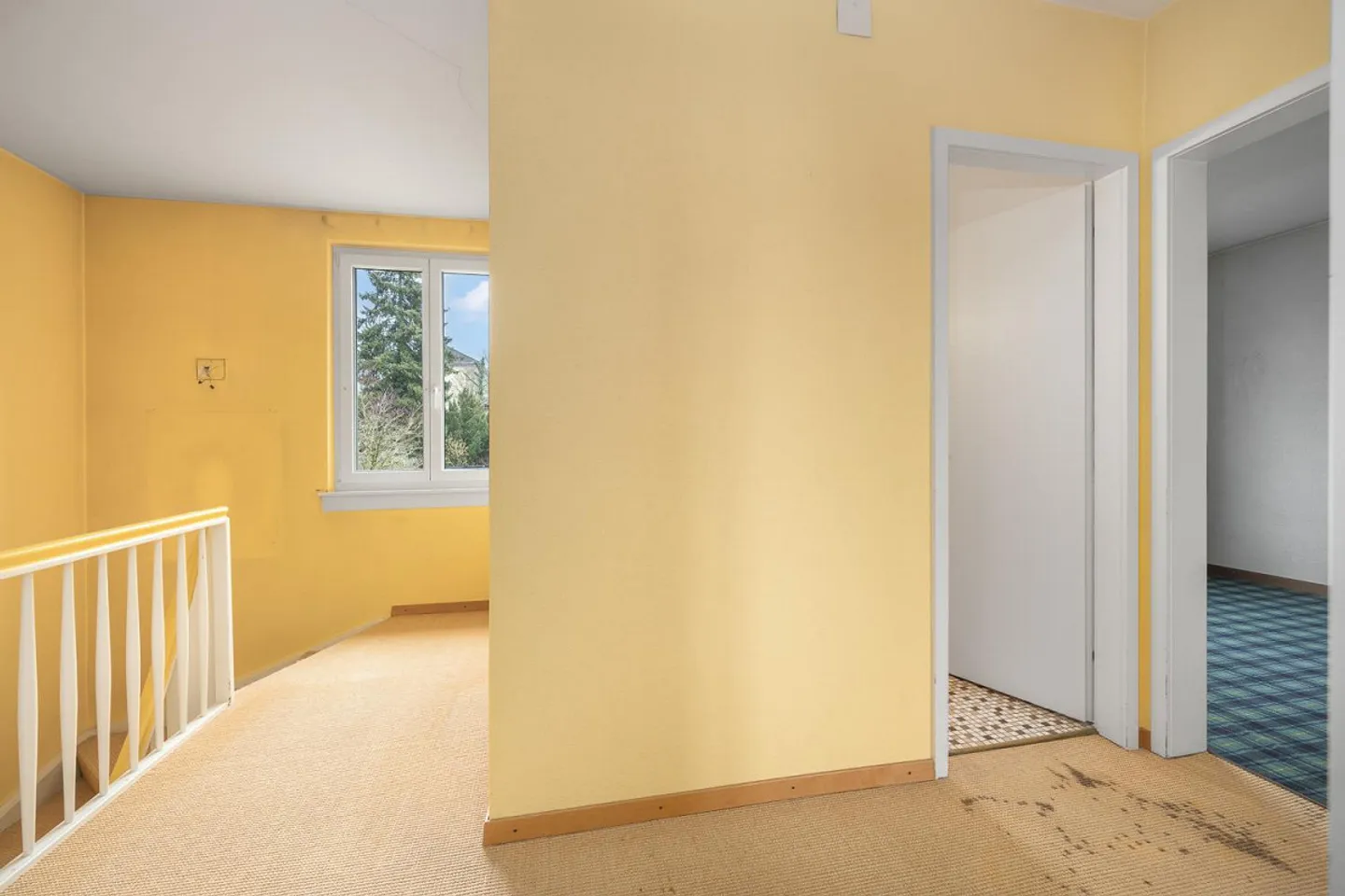 Realize Your Dream - Photo 6 of 11