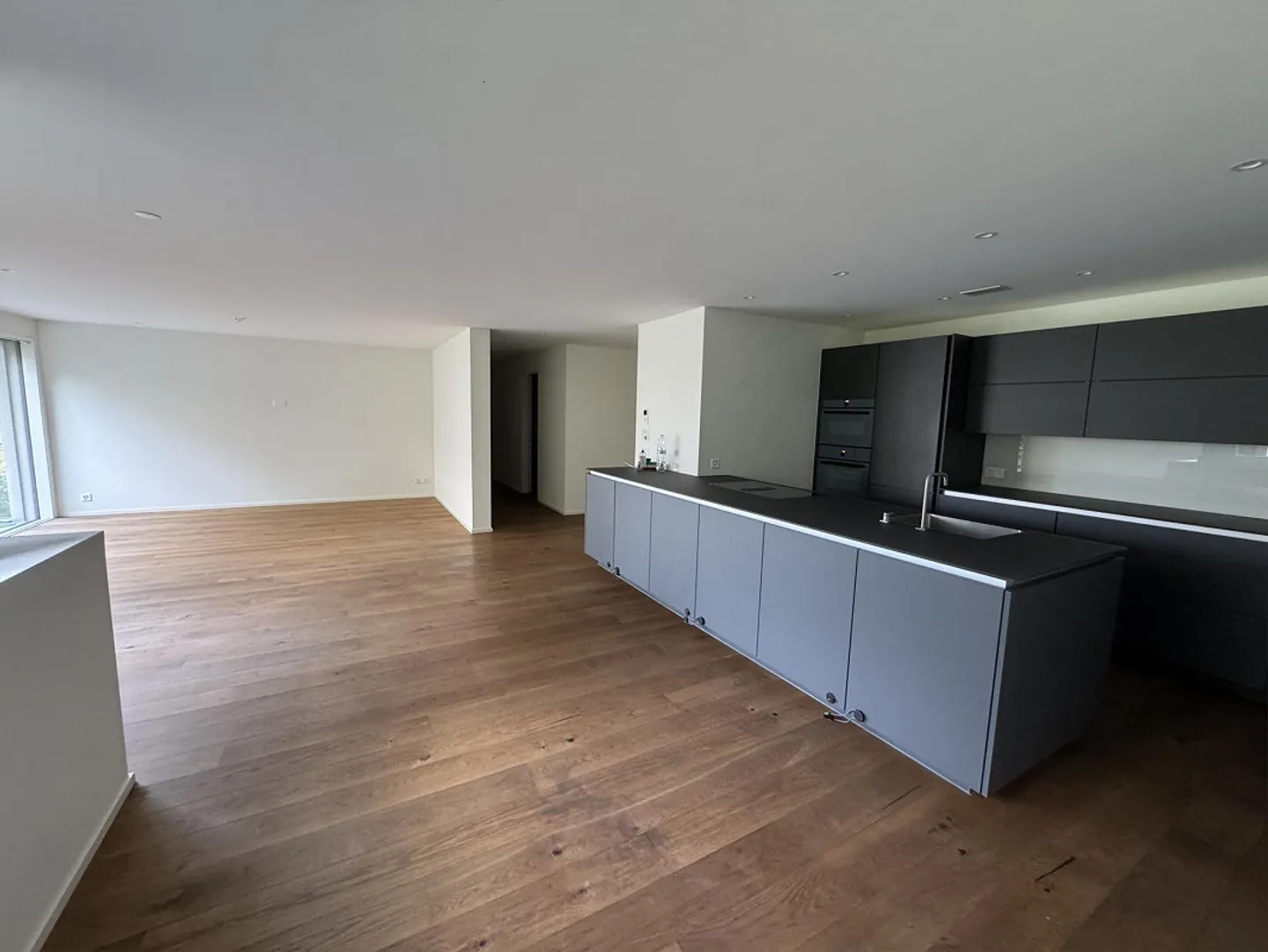 Appartement 3,5 pièces avec terrasse à Zürich-Wollishofen - Photo 5 sur 18