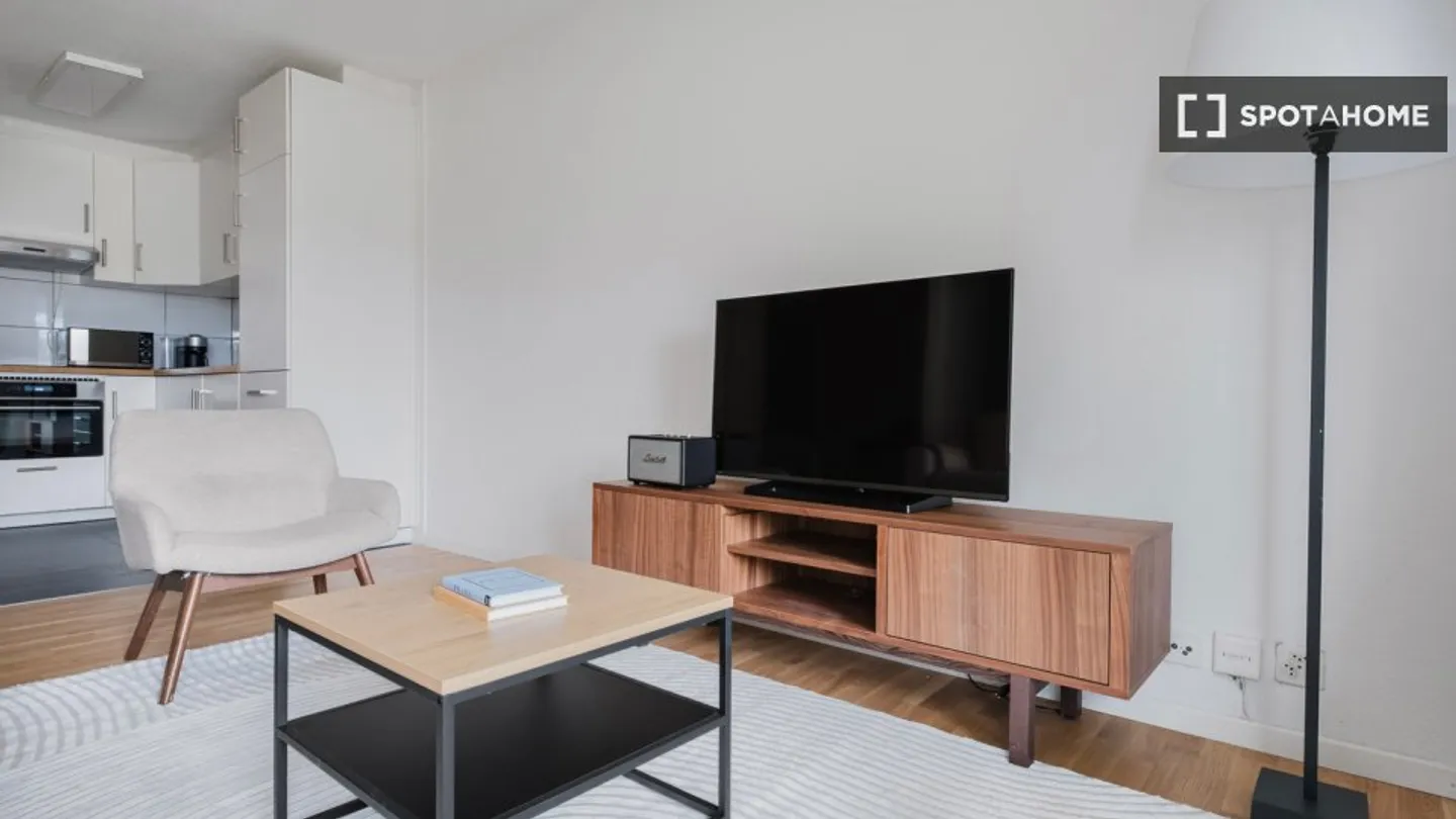 Charming Apartment in Zurich - Photo 3 of 15