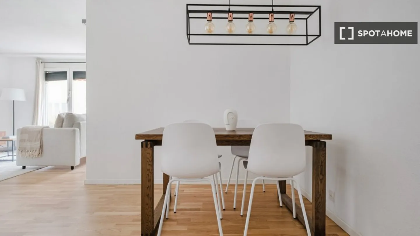 Charming Apartment in Zurich - Photo 5 of 15